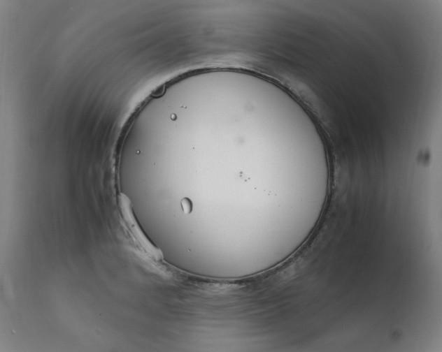 X0000111231184200907161309