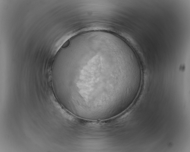 X0000111231185200907161309