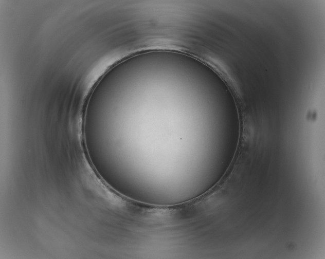 X0000111231188200907161309