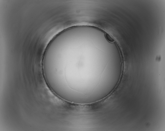 X0000111231189200907161309