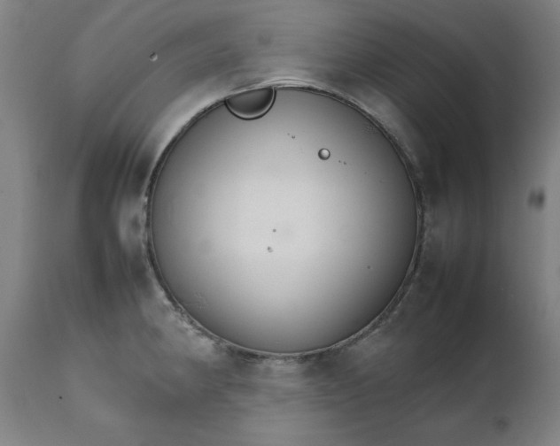 X0000111231190200907161309