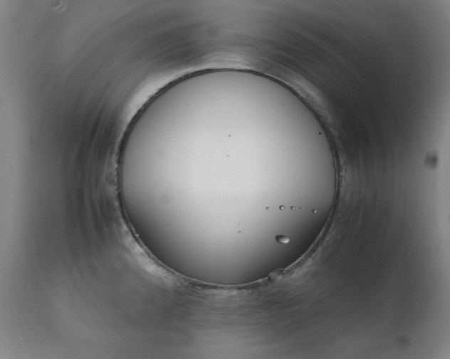 X0000111231192200907161309