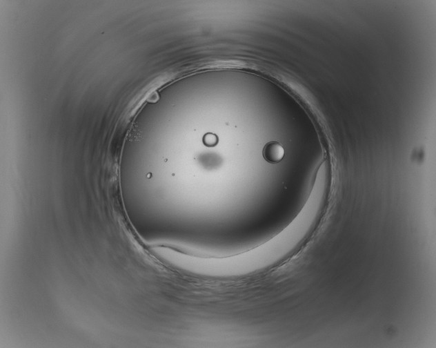X0000111231193200907161309