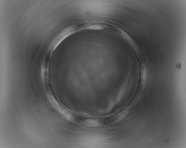 X0000111231194200907161309