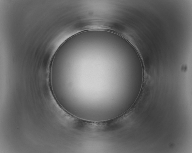 X0000111231195200907161309