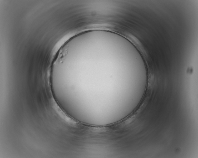 X0000111231196200907161309
