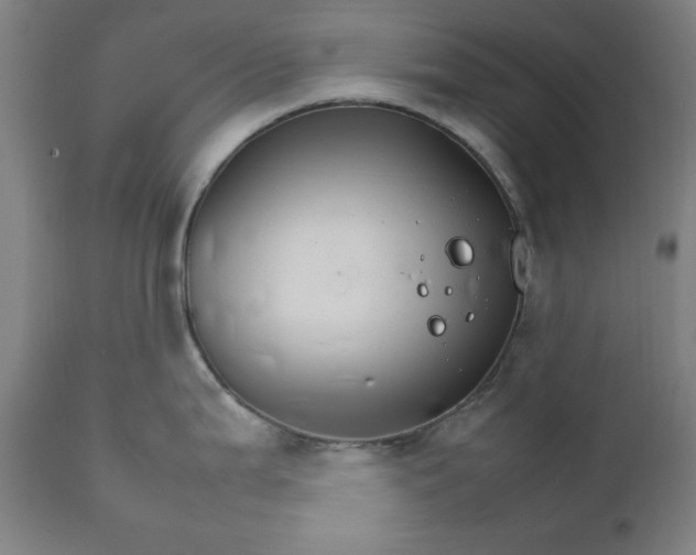 X0000111231199200907161309