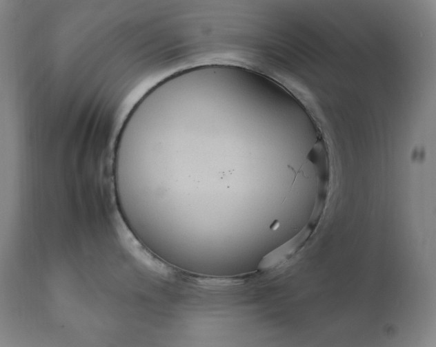 X0000111231200200907161309