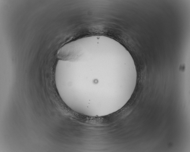 X0000111231201200907161308