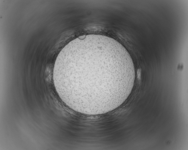 X0000111231203200907161308