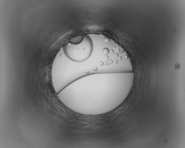 X0000111231205200907161308
