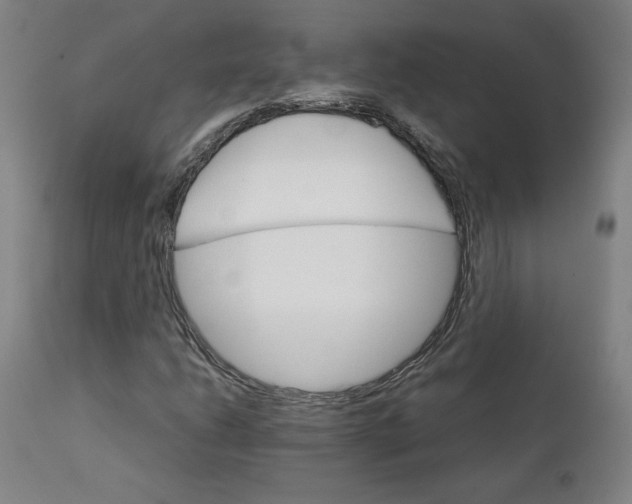 X0000111231206200907161308
