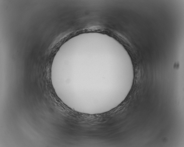 X0000111231207200907161308