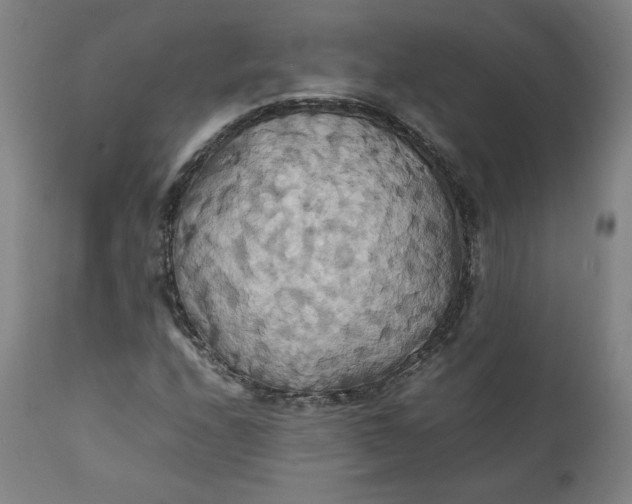 X0000111231208200907161308