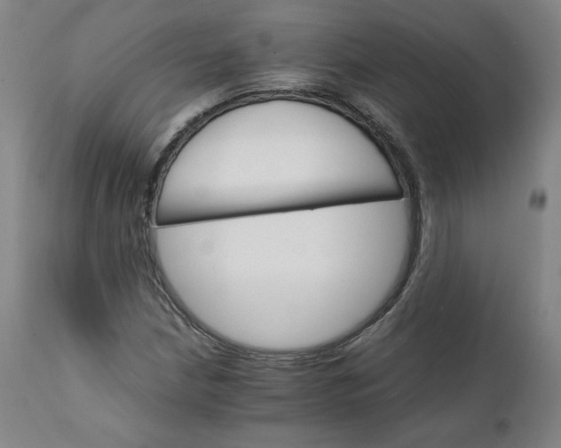 X0000111231210200907161308