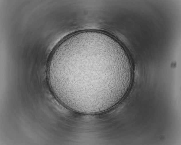 X0000111231212200907161308