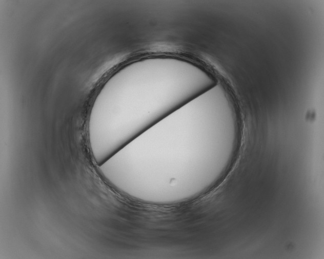 X0000111231213200907161308