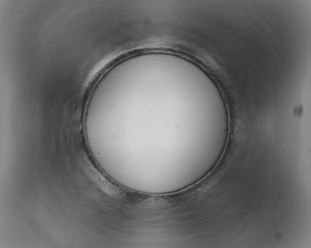 X0000111231216200907161308