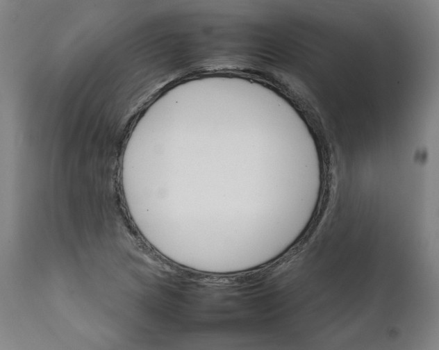 X0000111231217200907161308