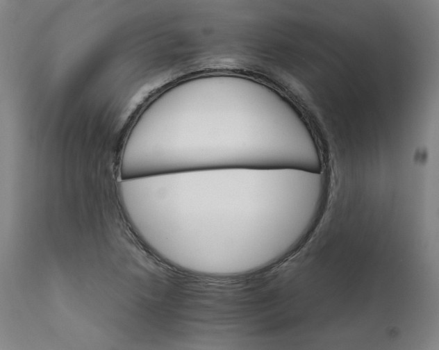 X0000111231218200907161308