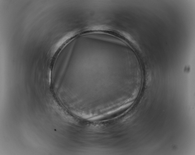 X0000111231221200907161308