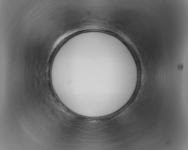 X0000111231222200907161308