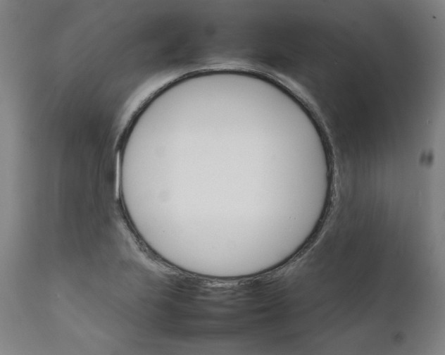 X0000111231223200907161308