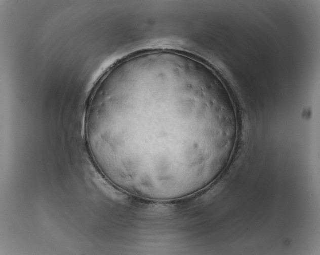 X0000111231224200907161308