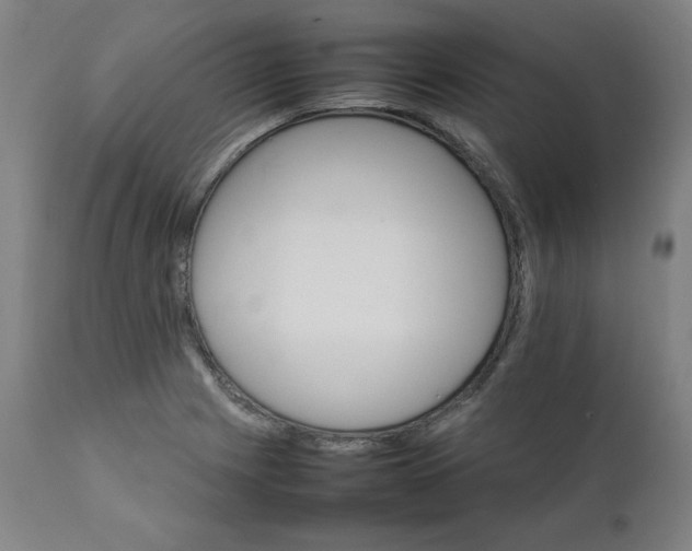 X0000111231225200907161308