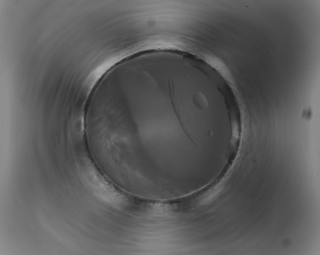 X0000111231226200907161308