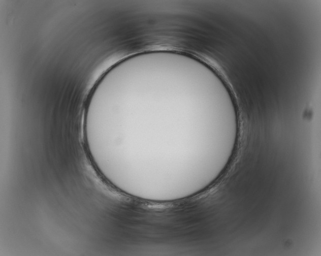 X0000111231227200907161308