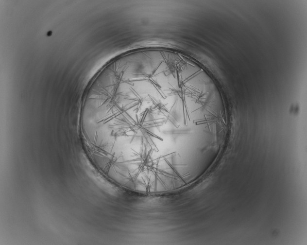 X0000111231228200907161308