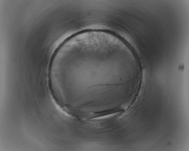 X0000111231229200907161308