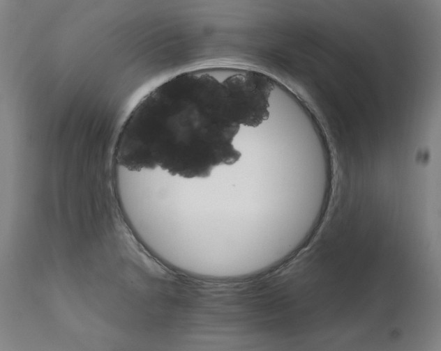 X0000111231230200907161308