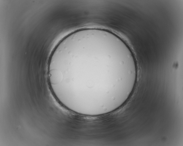 X0000111231231200907161308