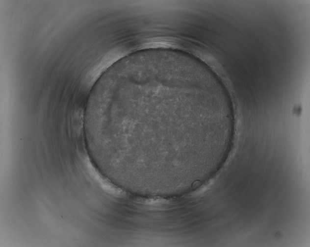 X0000111231233200907161308