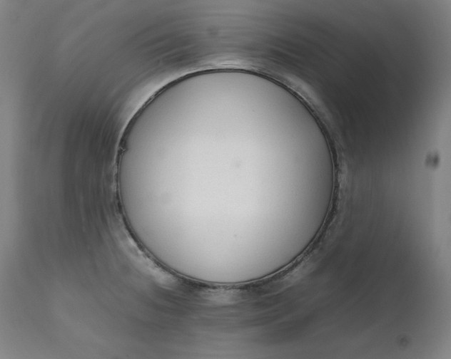 X0000111231236200907161308