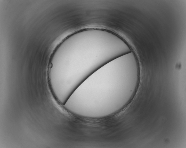 X0000111231237200907161308