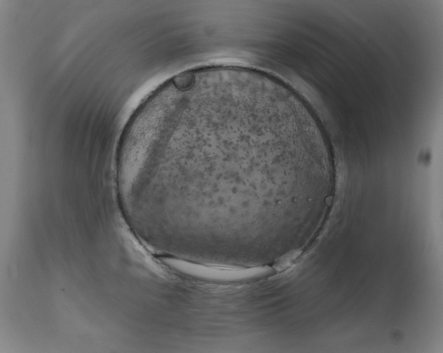 X0000111231240200907161308