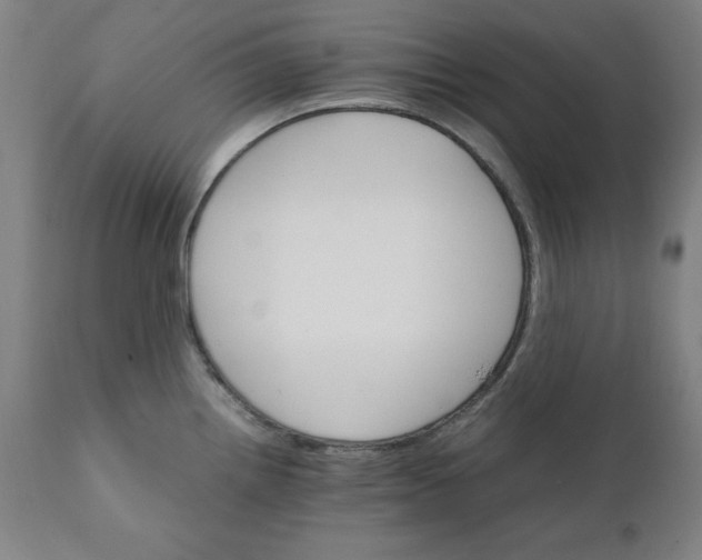 X0000111231242200907161309