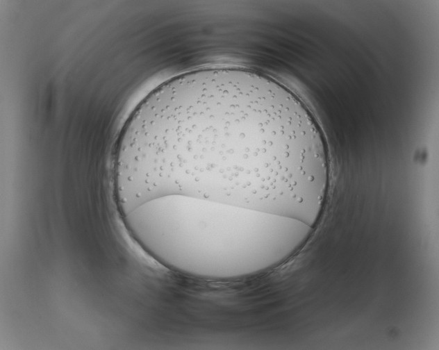X0000111231243200907161309