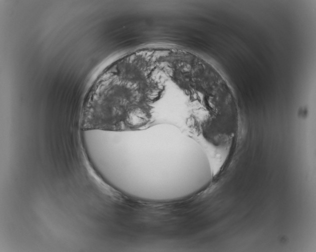 X0000111231245200907161309