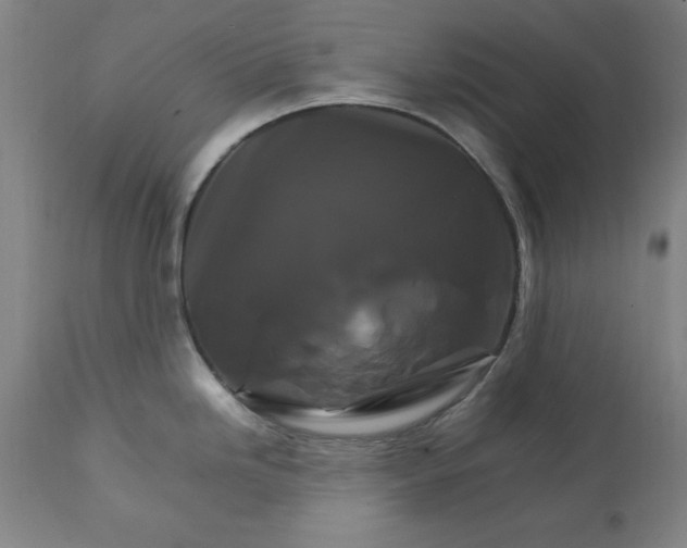 X0000111231246200907161309