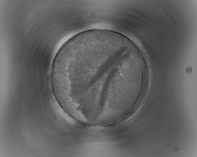 X0000111231248200907161309