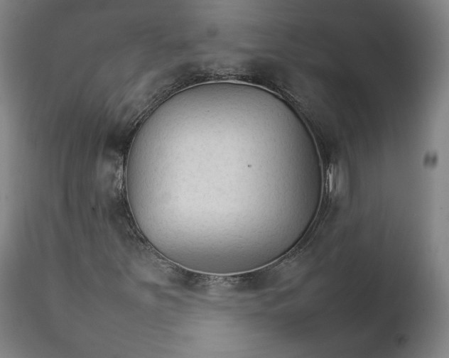 X0000111231251200907161308