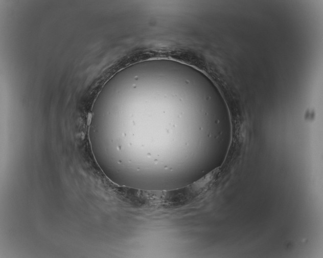 X0000111231253200907161308