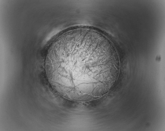 X0000111231255200907161308