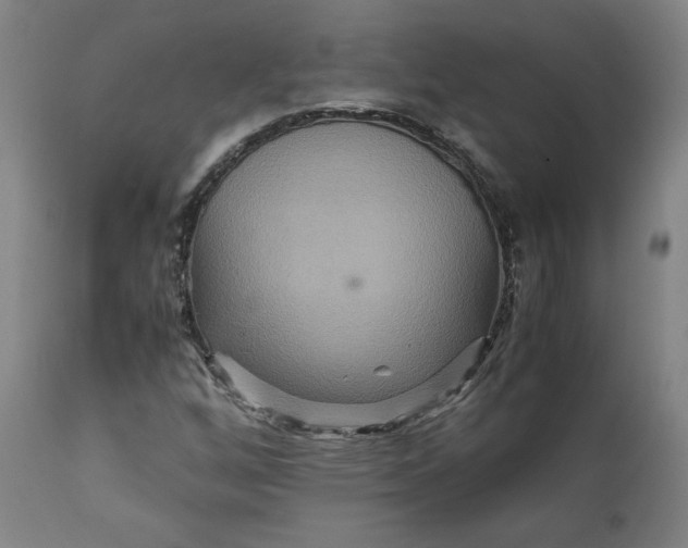 X0000111231256200907161308