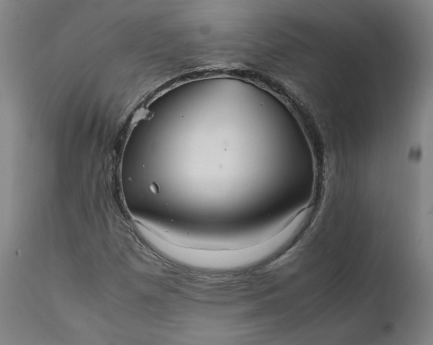 X0000111231257200907161308