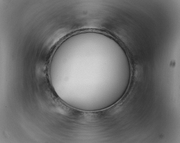 X0000111231258200907161308